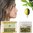 Olive Oil Cosmetic Set Organic Cosmetics